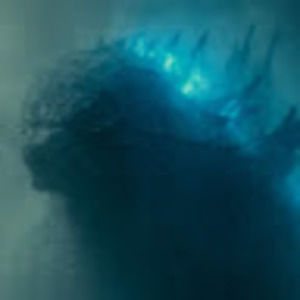 Meet your Posher, Theresa